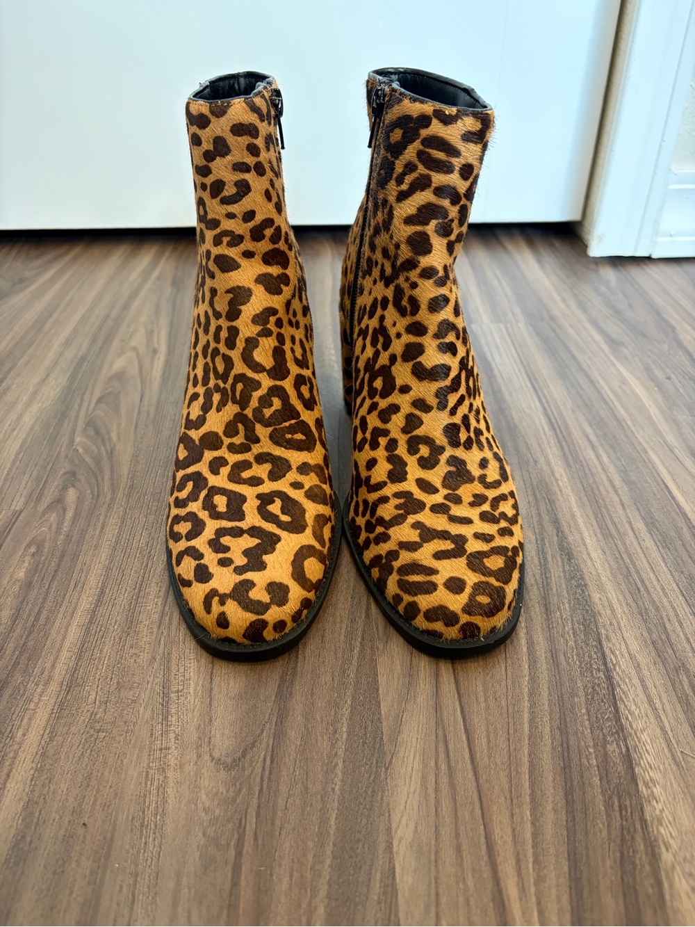 Steve Madden Leopard Print Ankle Booties - Brown & Black